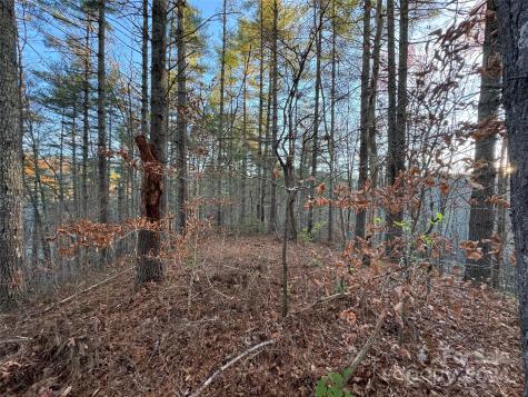 00 Sky Ridge Drive Bryson City NC 28713
