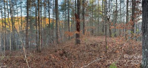 00 Sky Ridge Drive Bryson City NC 28713