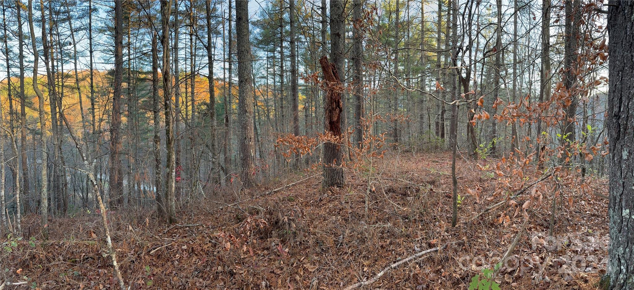 00 Sky Ridge Drive Bryson City NC 28713