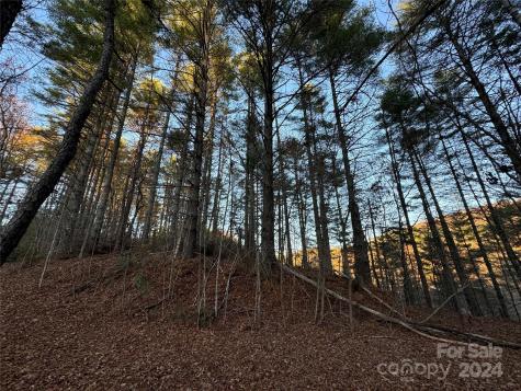 00 Sky Ridge Drive Bryson City NC 28713
