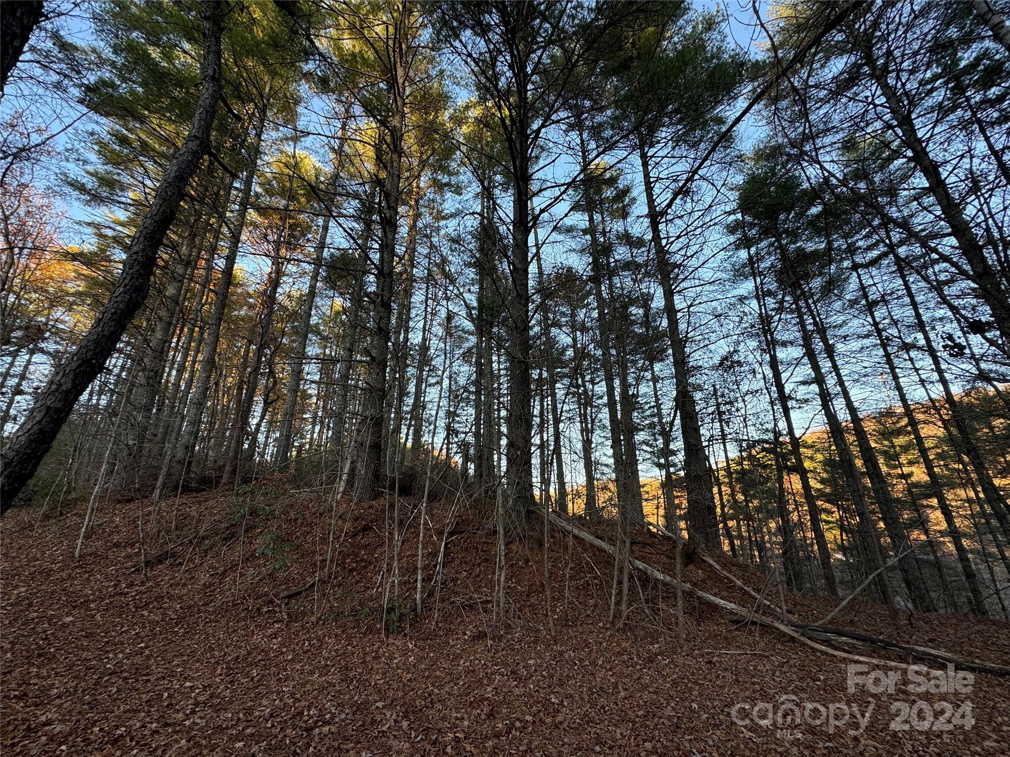 00 Sky Ridge Drive Bryson City NC 28713