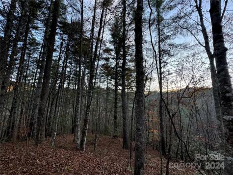 00 Sky Ridge Drive Bryson City NC 28713