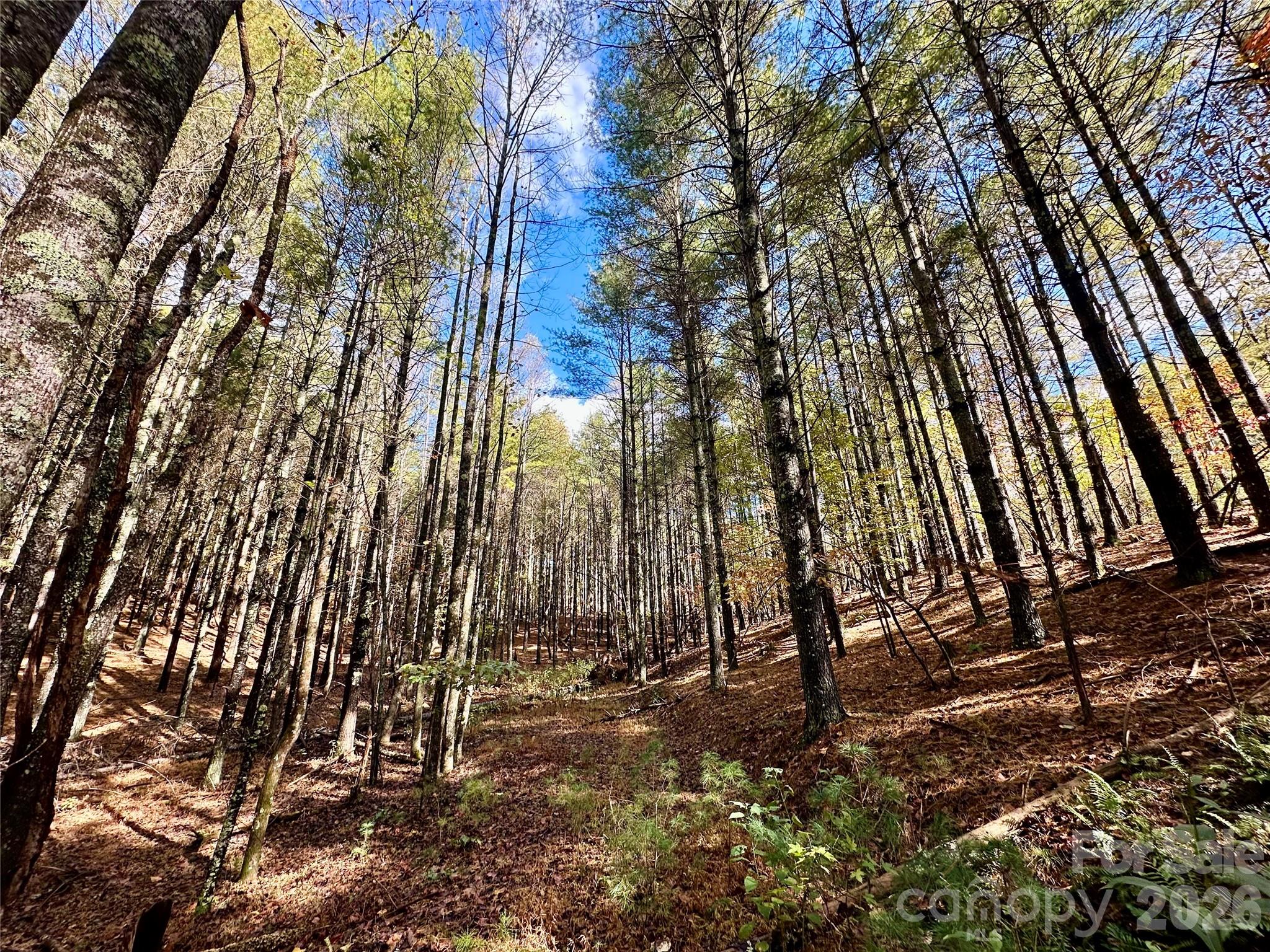 146 Bream Flats Drive Nebo NC 28761