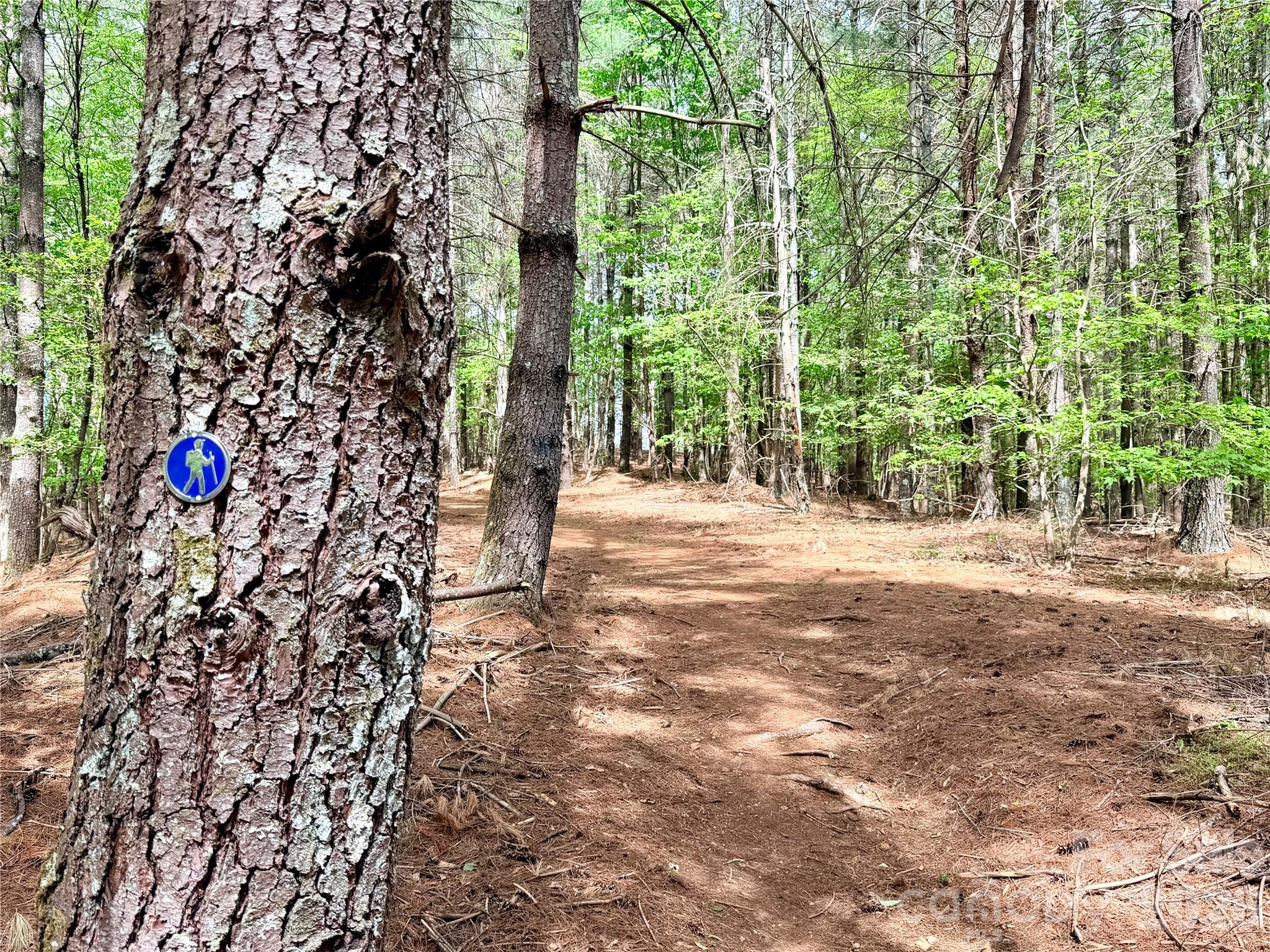 146 Bream Flats Drive Nebo NC 28761