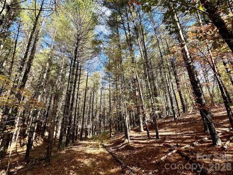 146 Bream Flats Drive Nebo NC 28761