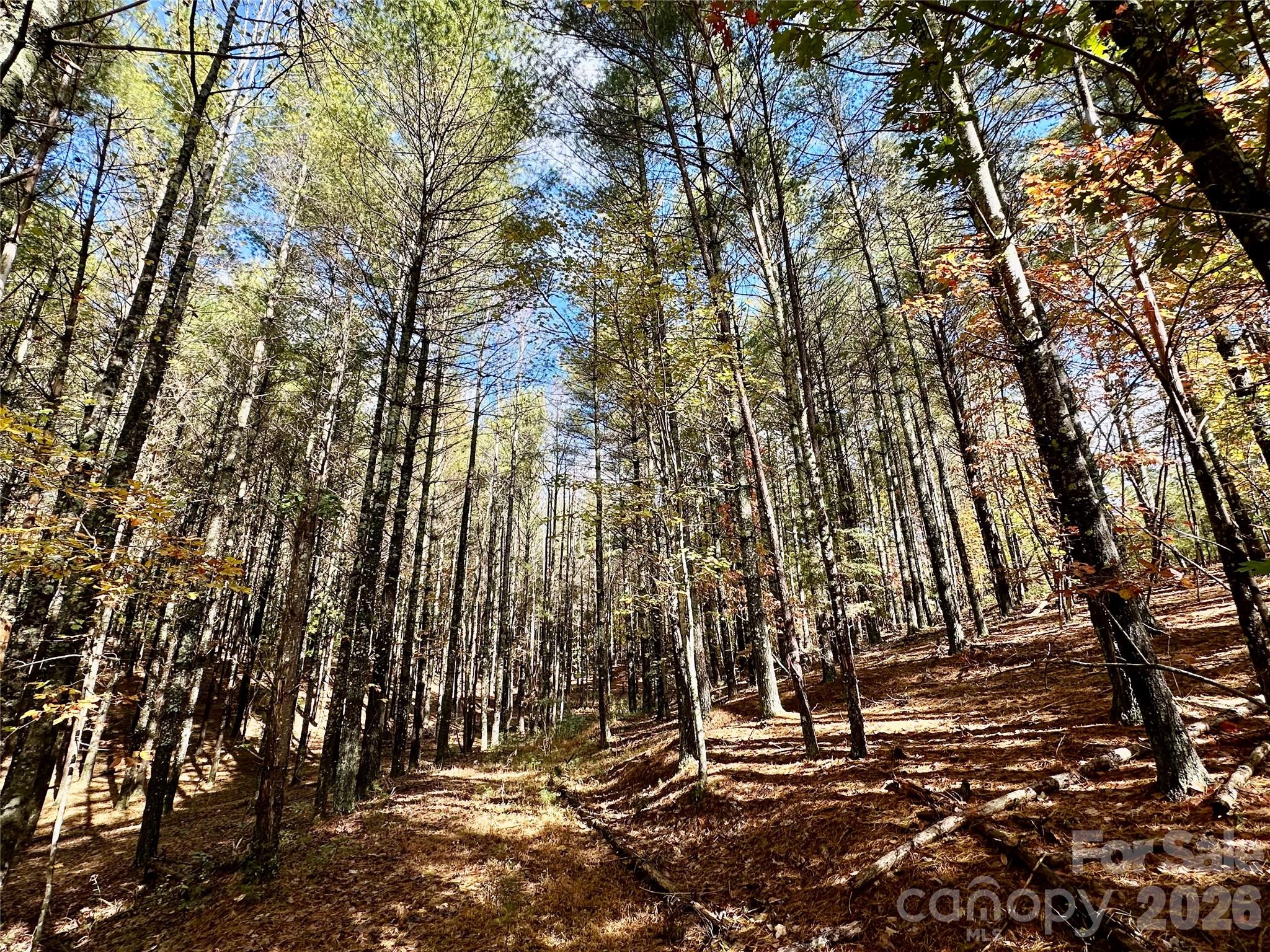 146 Bream Flats Drive Nebo NC 28761