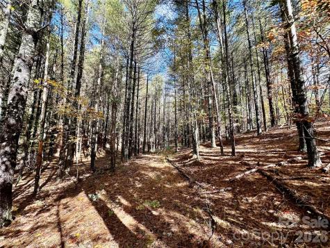 146 Bream Flats Drive Nebo NC 28761