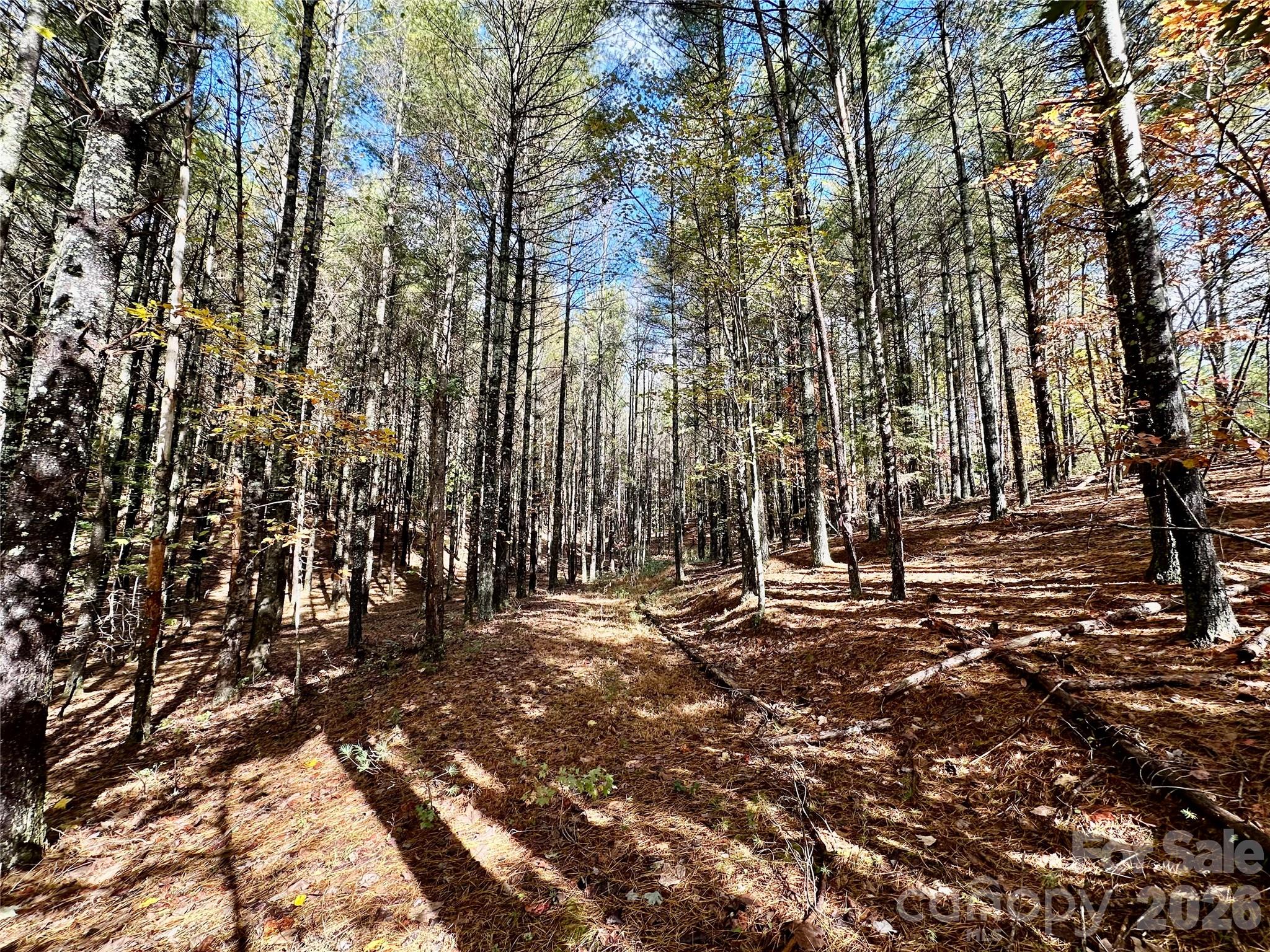 146 Bream Flats Drive Nebo NC 28761