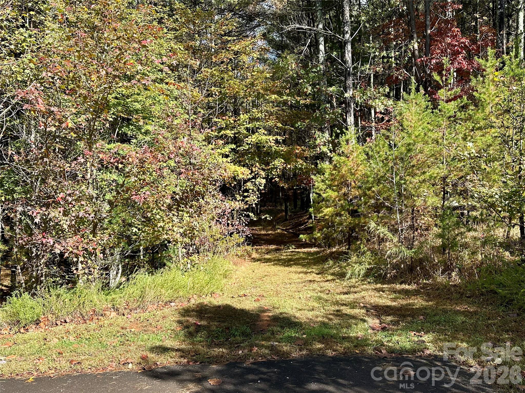 146 Bream Flats Drive Nebo NC 28761