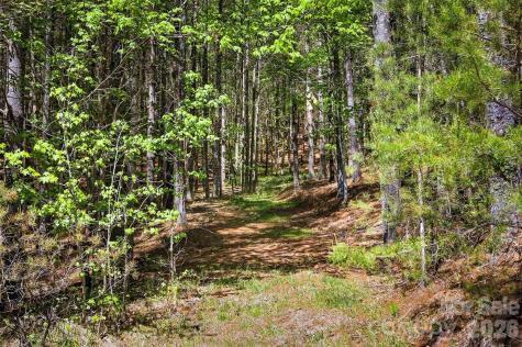 146 Bream Flats Drive Nebo NC 28761
