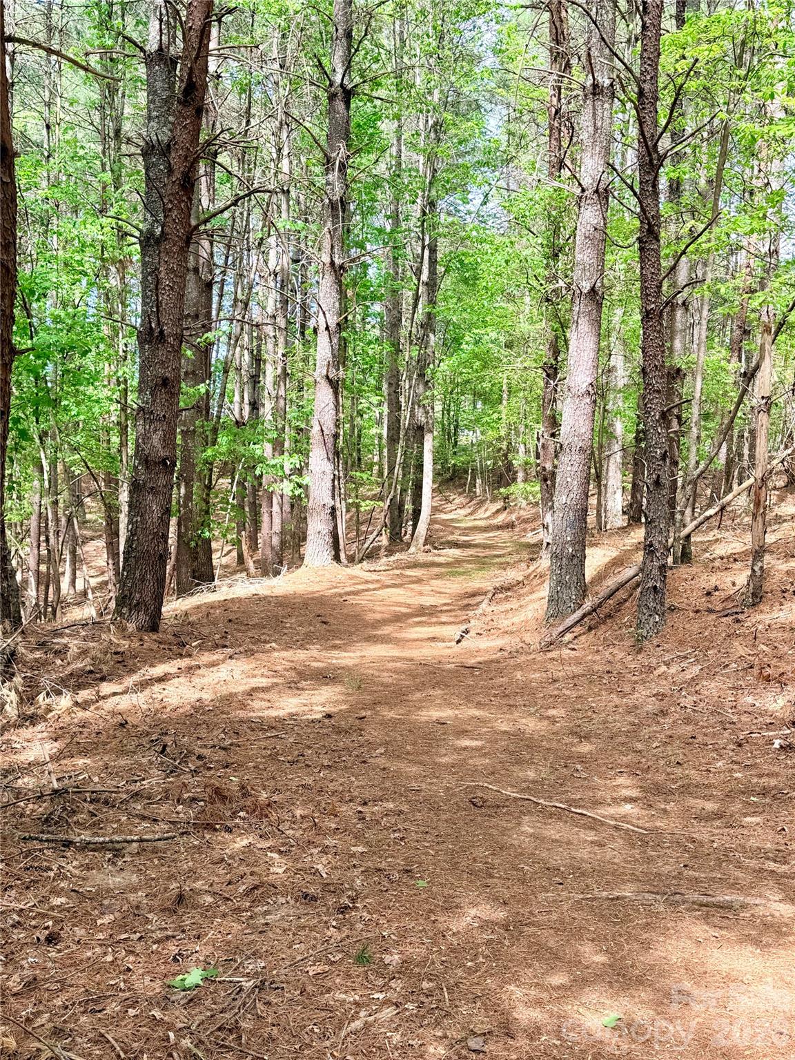 146 Bream Flats Drive Nebo NC 28761