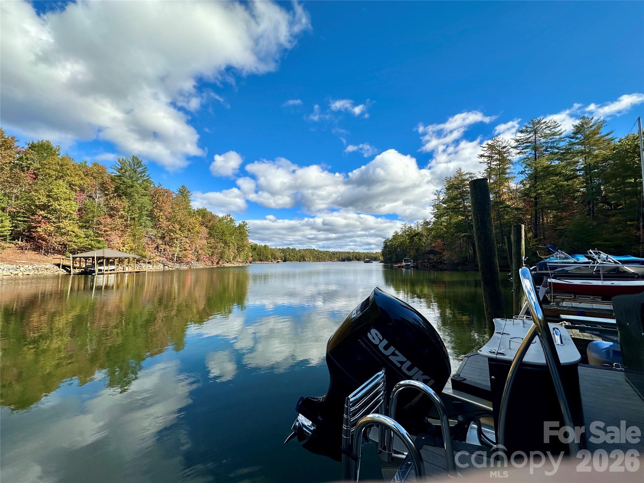 146 Bream Flats Drive Nebo NC 28761