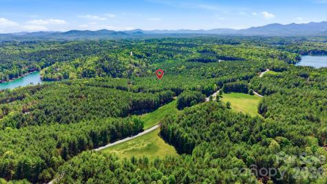 146 Bream Flats Drive Nebo NC 28761