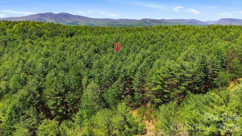 146 Bream Flats Drive Nebo NC 28761