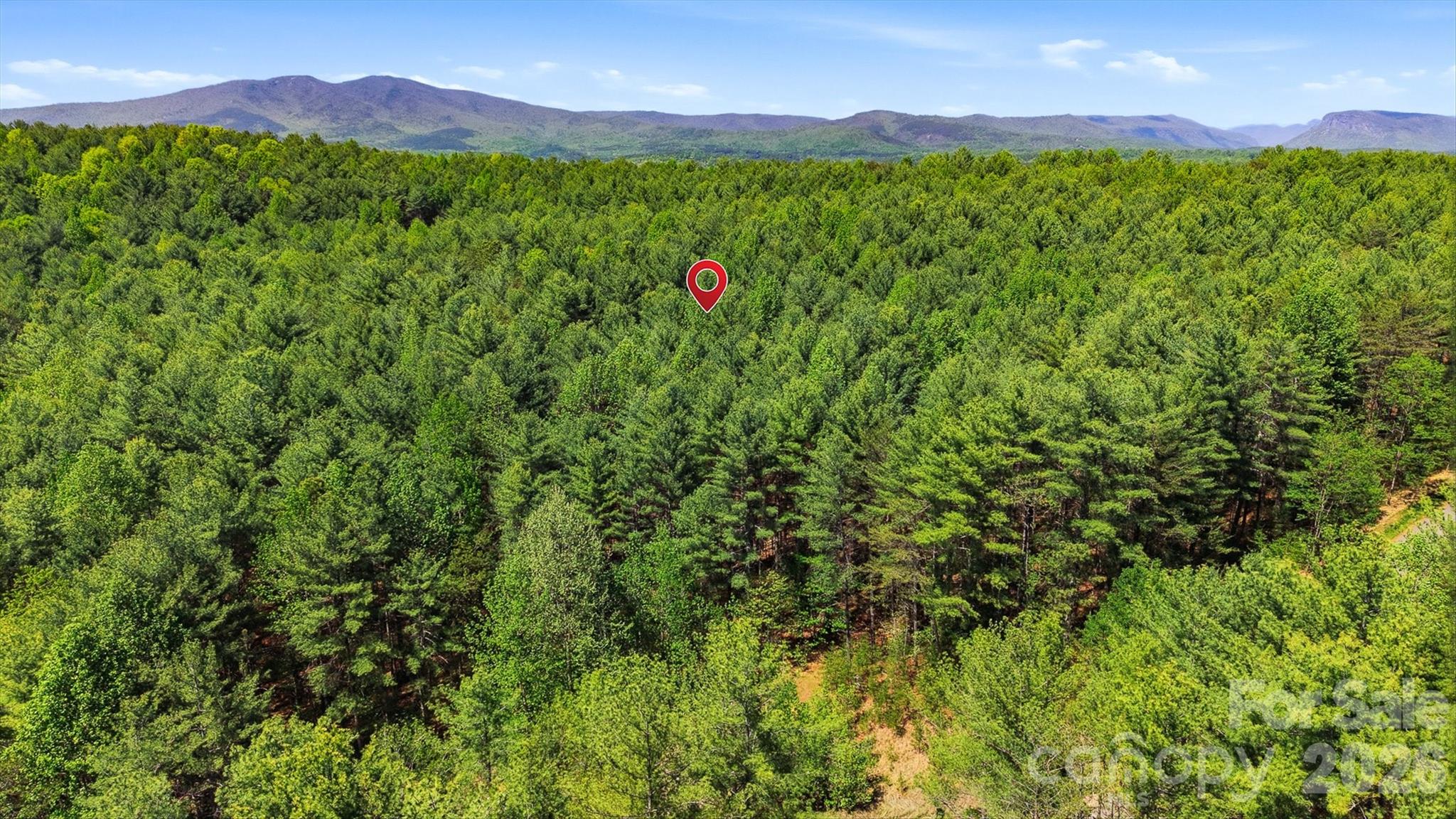 146 Bream Flats Drive Nebo NC 28761