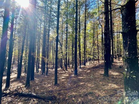 146 Bream Flats Drive Nebo NC 28761