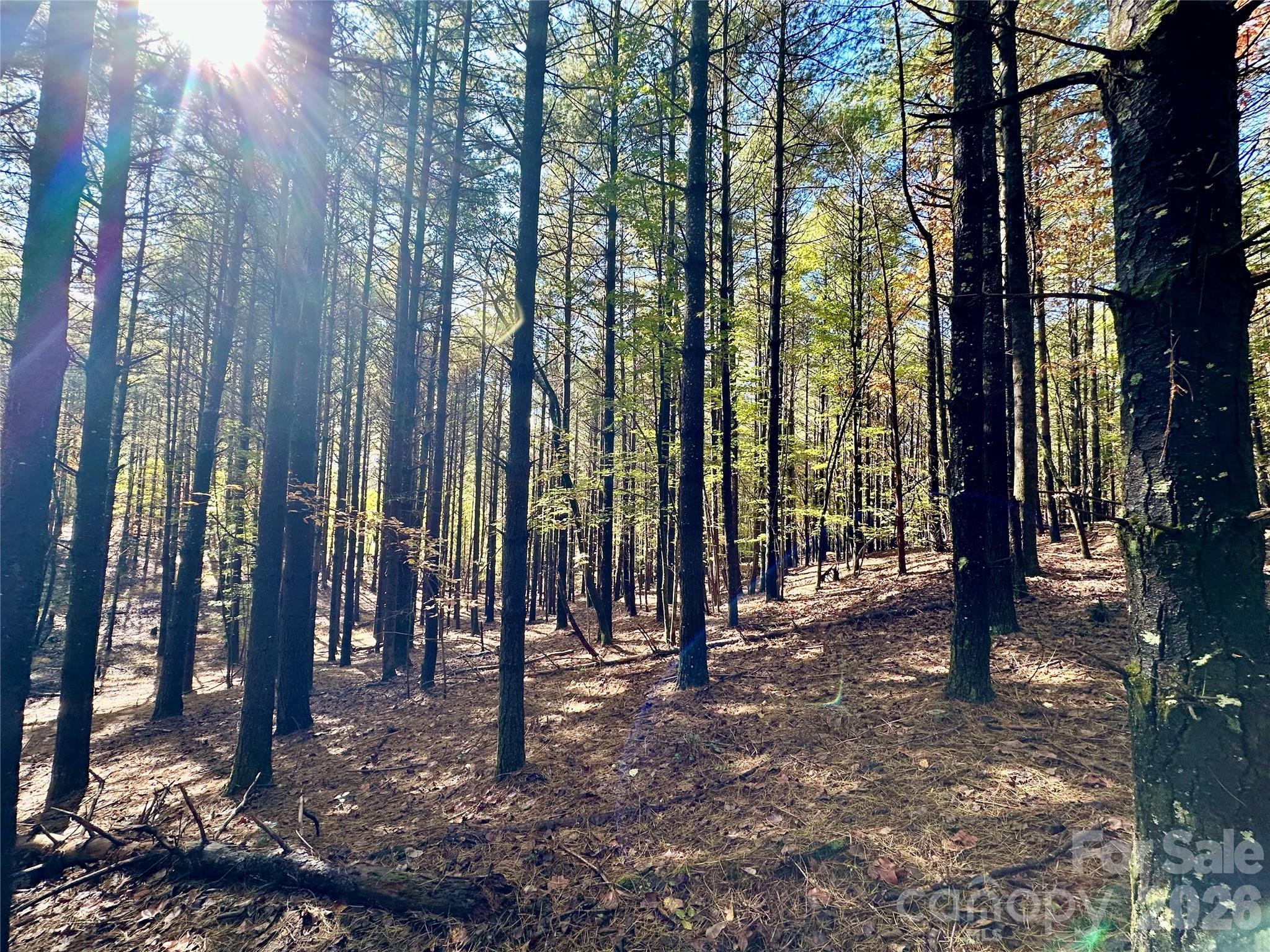 146 Bream Flats Drive Nebo NC 28761