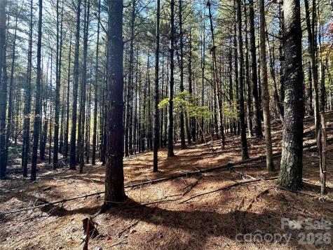 146 Bream Flats Drive Nebo NC 28761