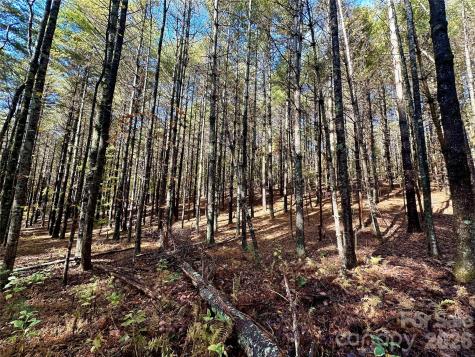 146 Bream Flats Drive Nebo NC 28761