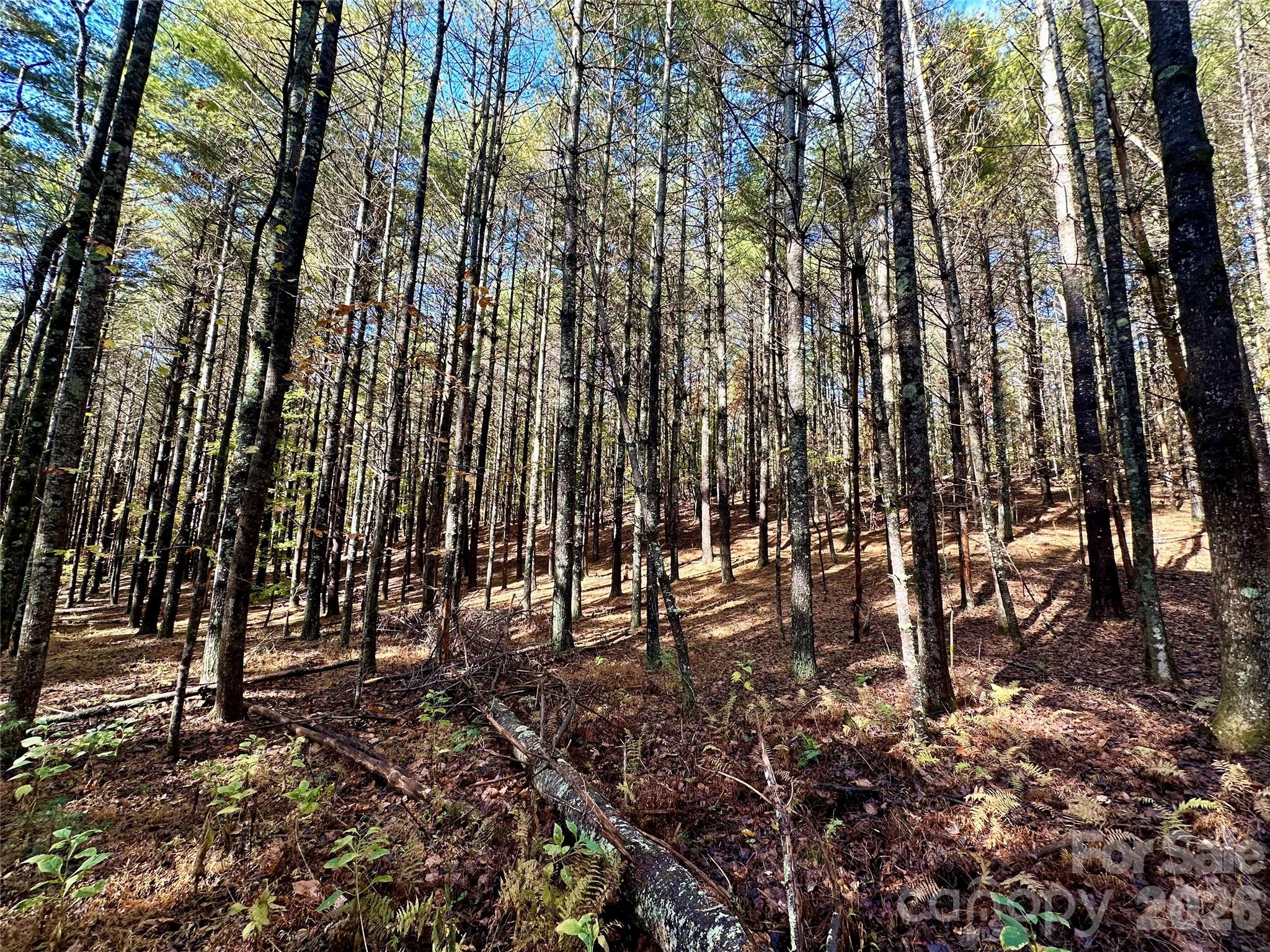 146 Bream Flats Drive Nebo NC 28761