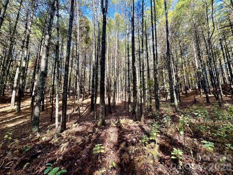 146 Bream Flats Drive Nebo NC 28761