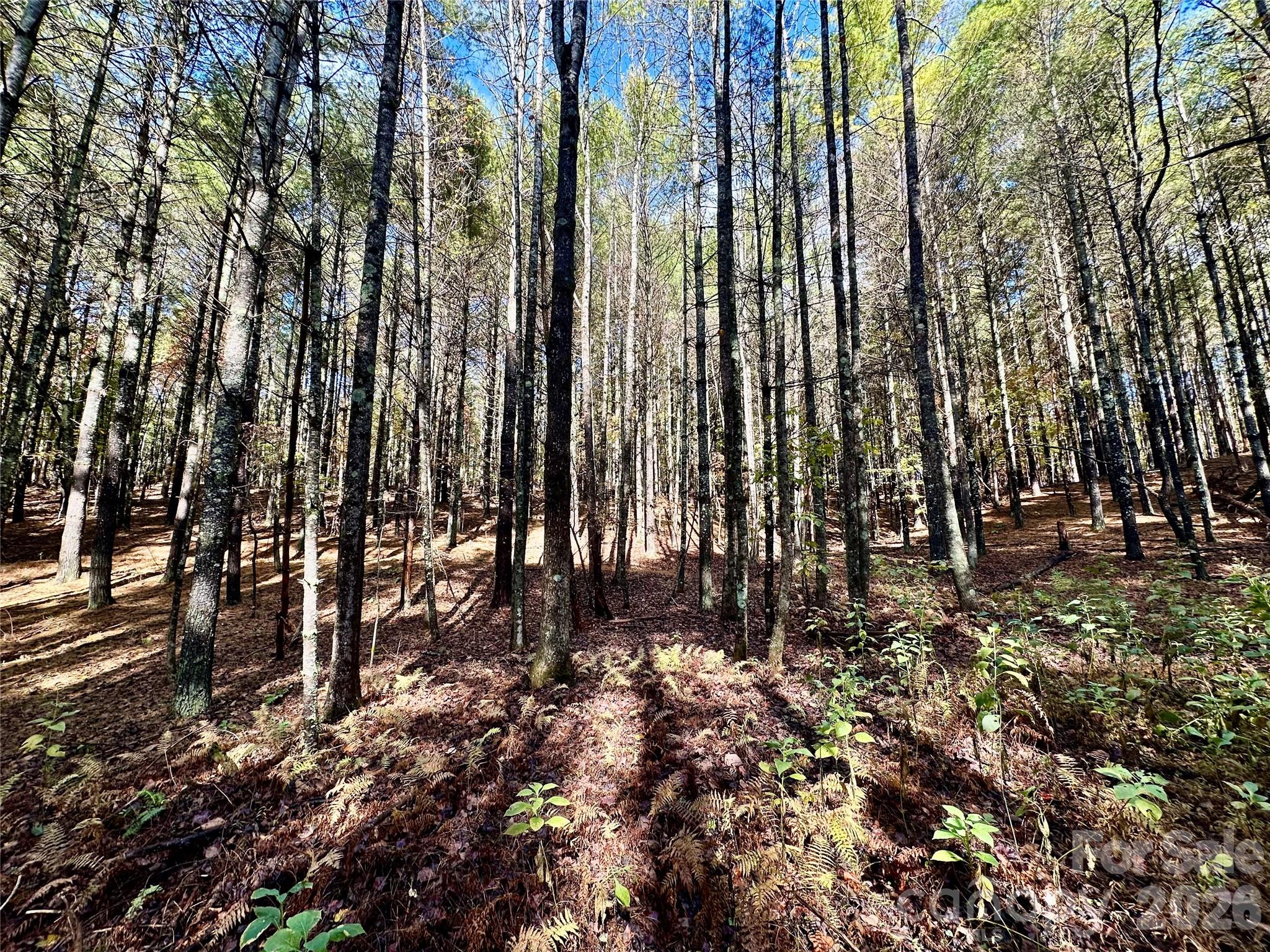 146 Bream Flats Drive Nebo NC 28761