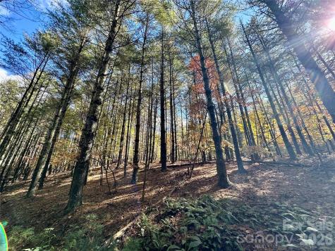 146 Bream Flats Drive Nebo NC 28761