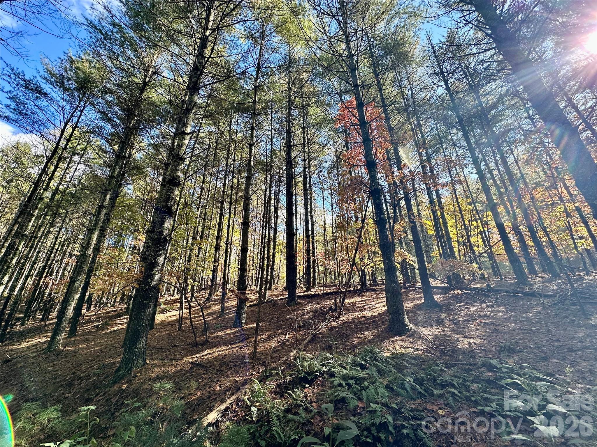 146 Bream Flats Drive Nebo NC 28761