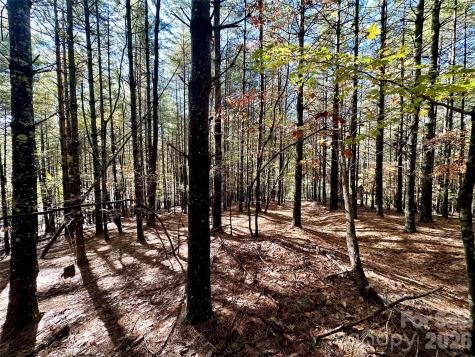146 Bream Flats Drive Nebo NC 28761