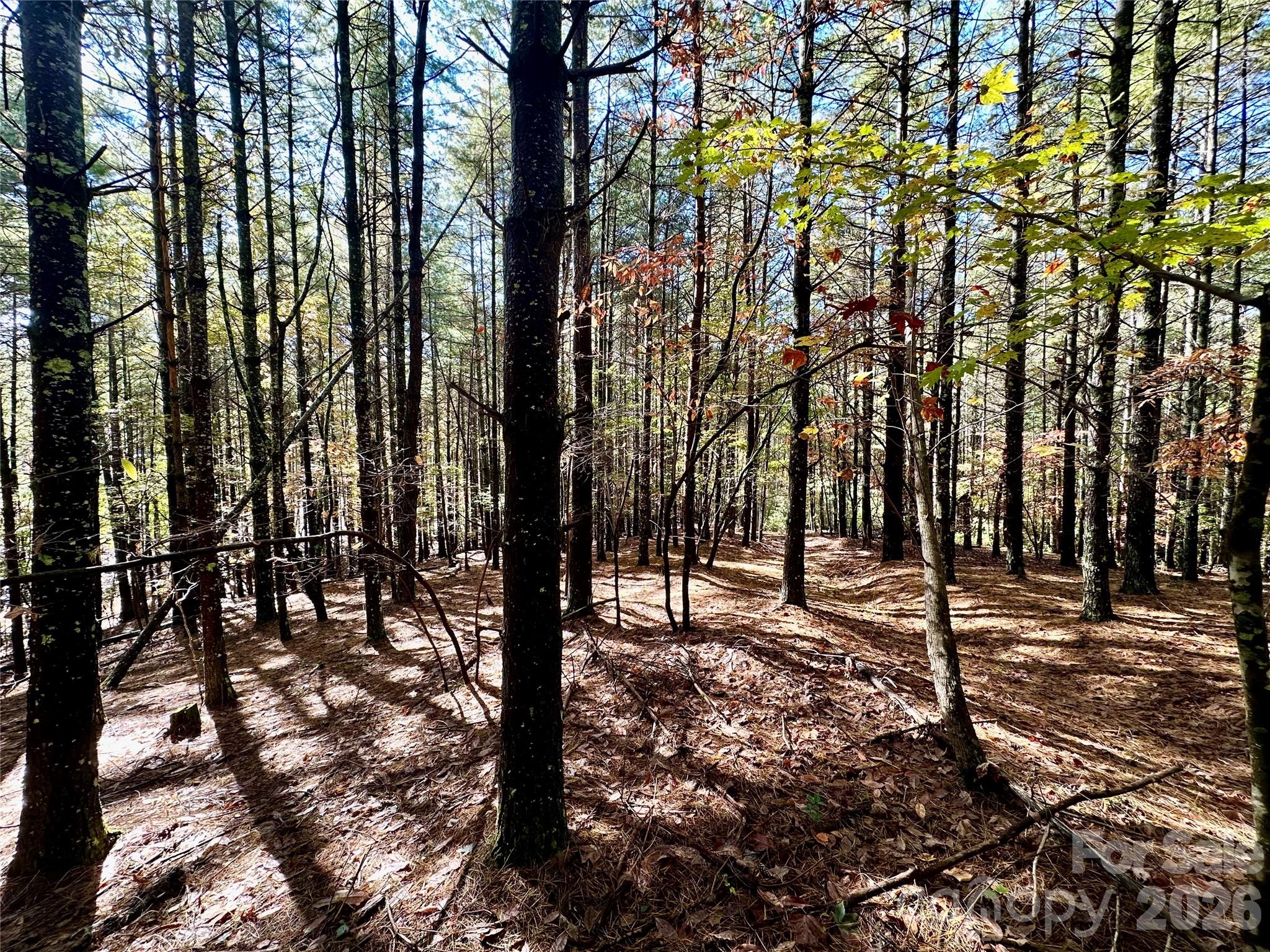 146 Bream Flats Drive Nebo NC 28761