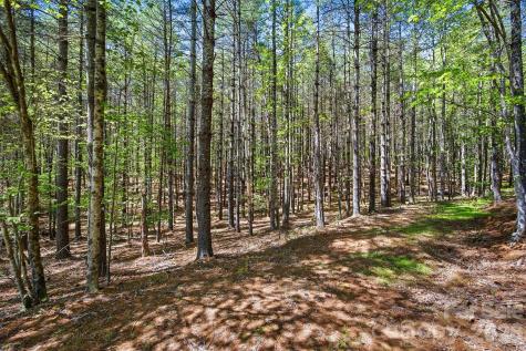 146 Bream Flats Drive Nebo NC 28761