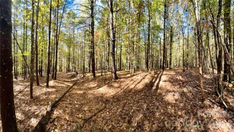 146 Bream Flats Drive Nebo NC 28761