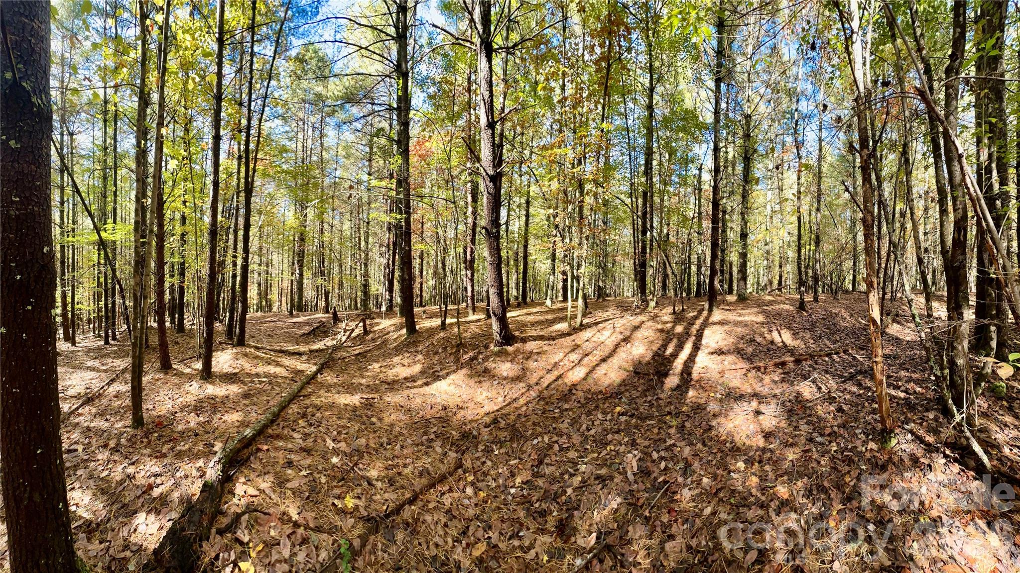 146 Bream Flats Drive Nebo NC 28761