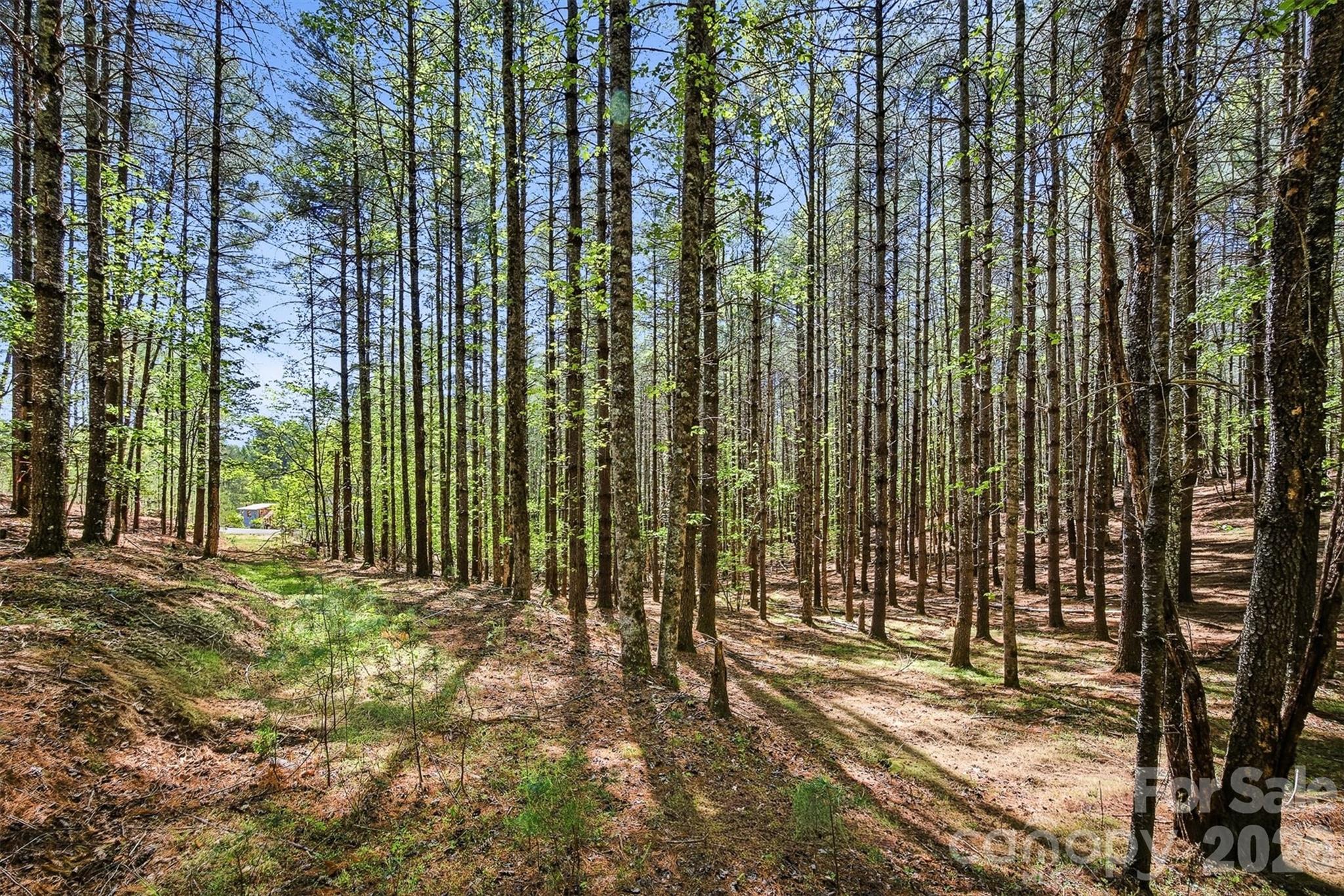 146 Bream Flats Drive Nebo NC 28761