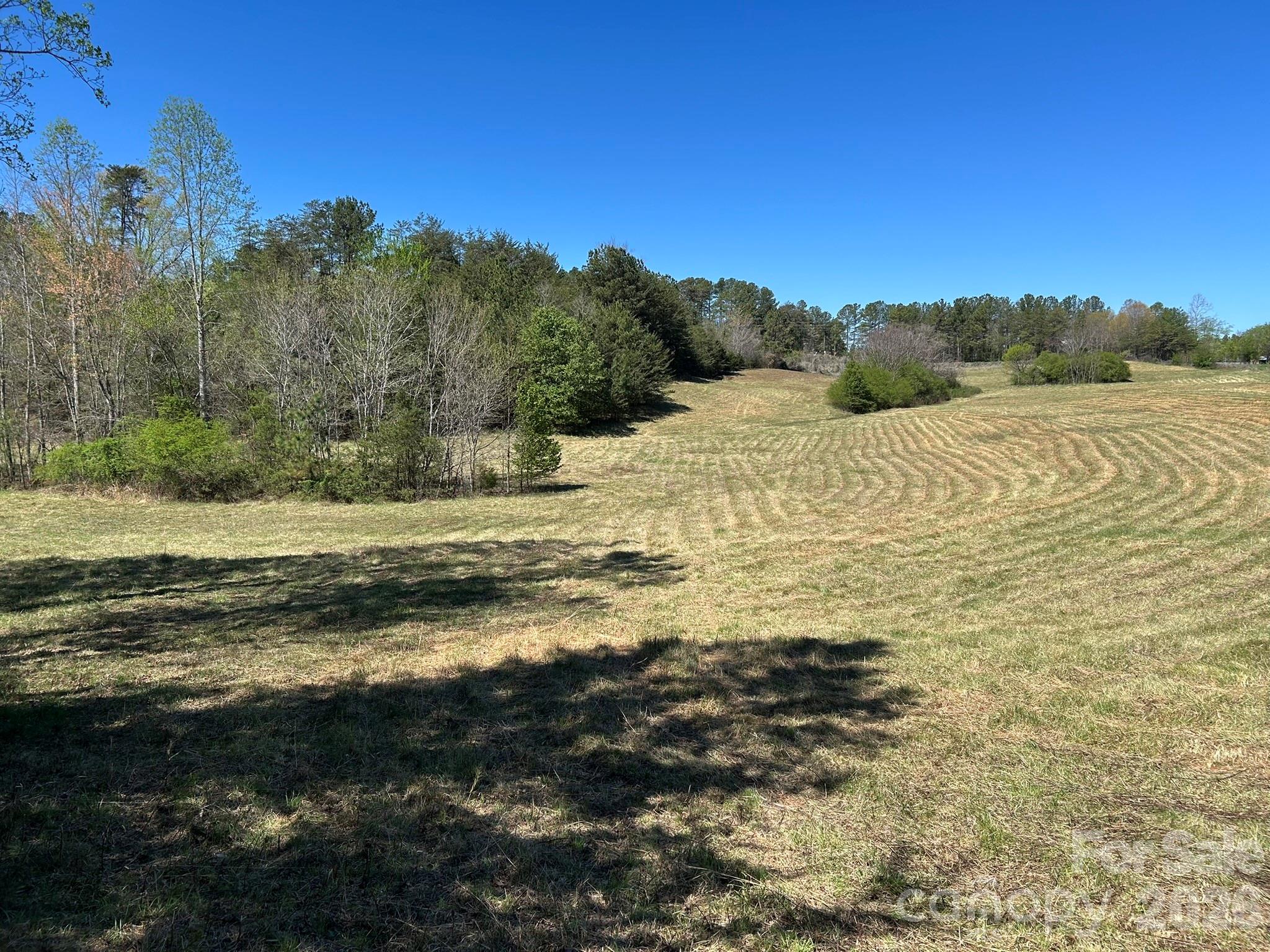 0 Pea Ridge Road Mill Spring NC 28756
