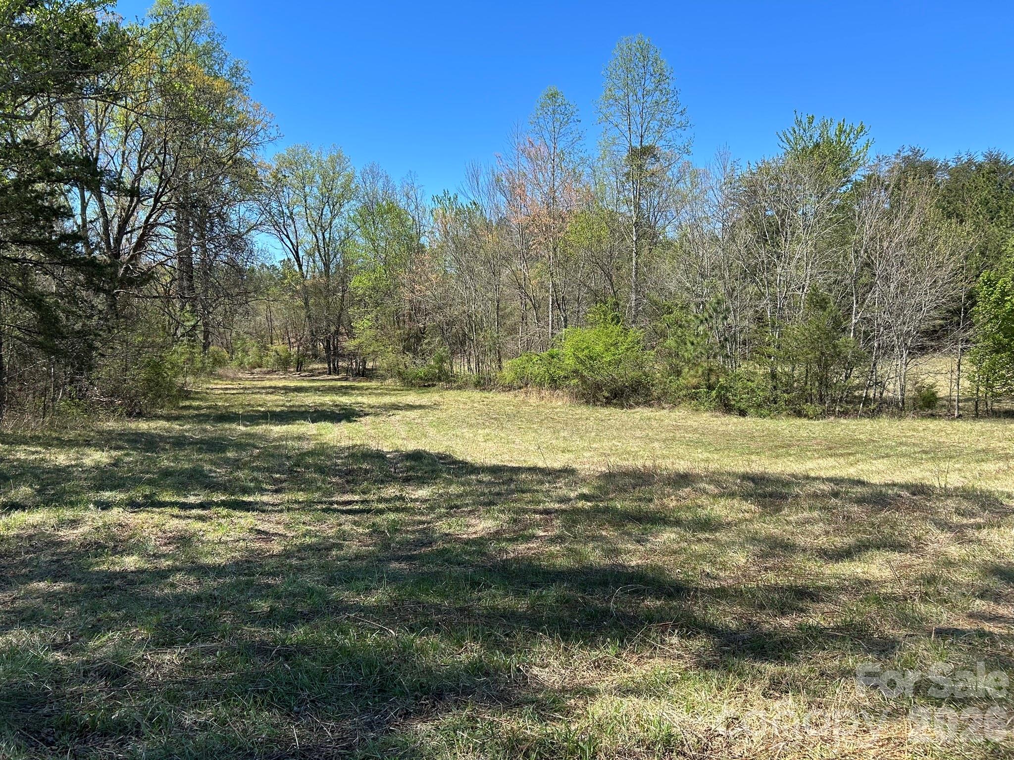 0 Pea Ridge Road Mill Spring NC 28756