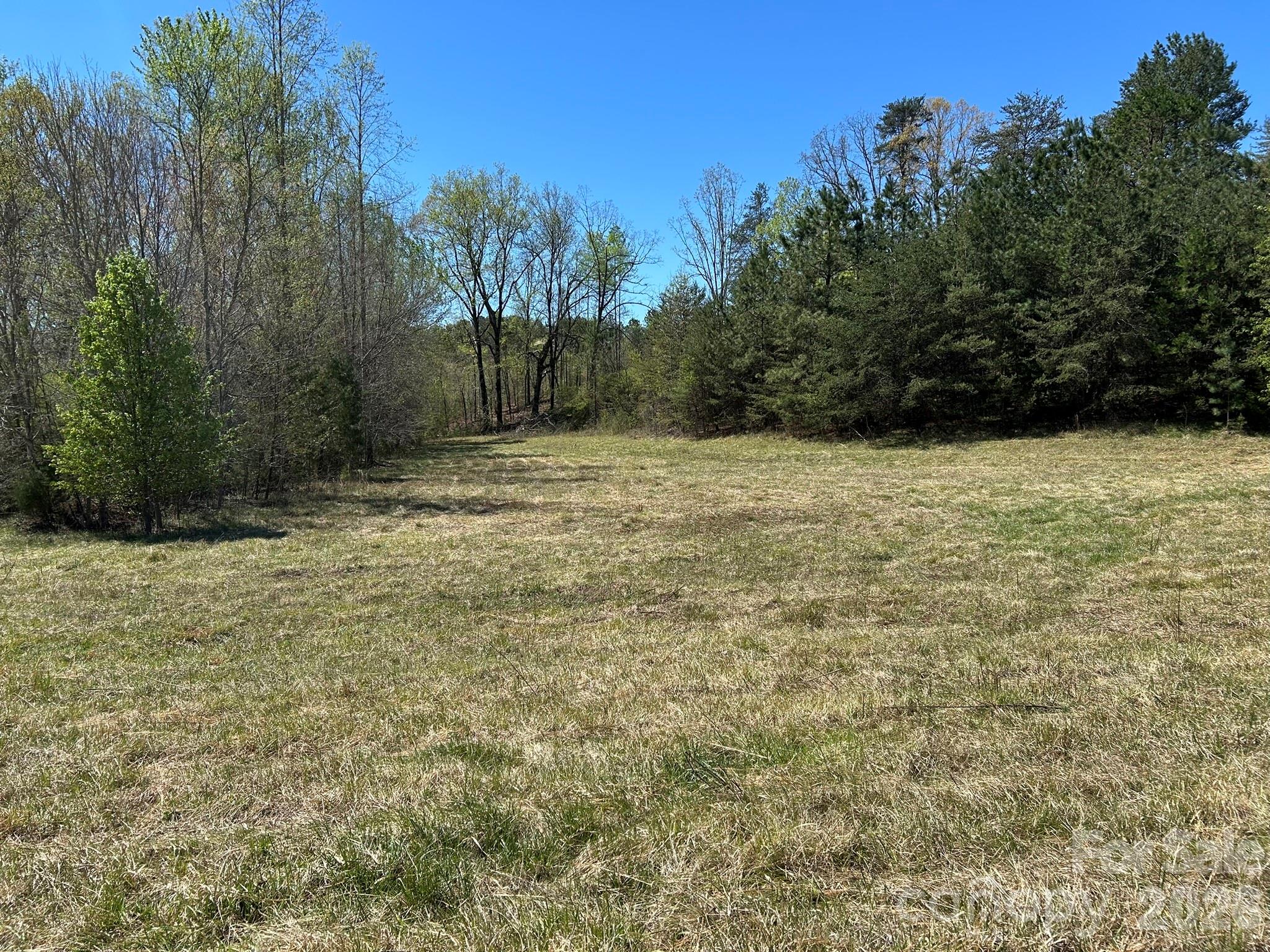 0 Pea Ridge Road Mill Spring NC 28756