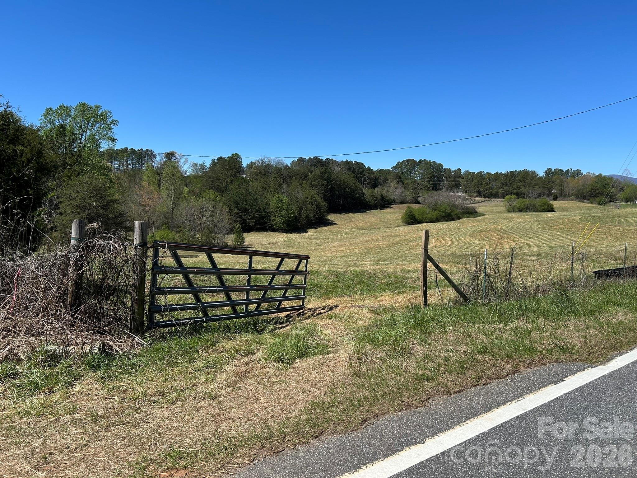 0 Pea Ridge Road Mill Spring NC 28756