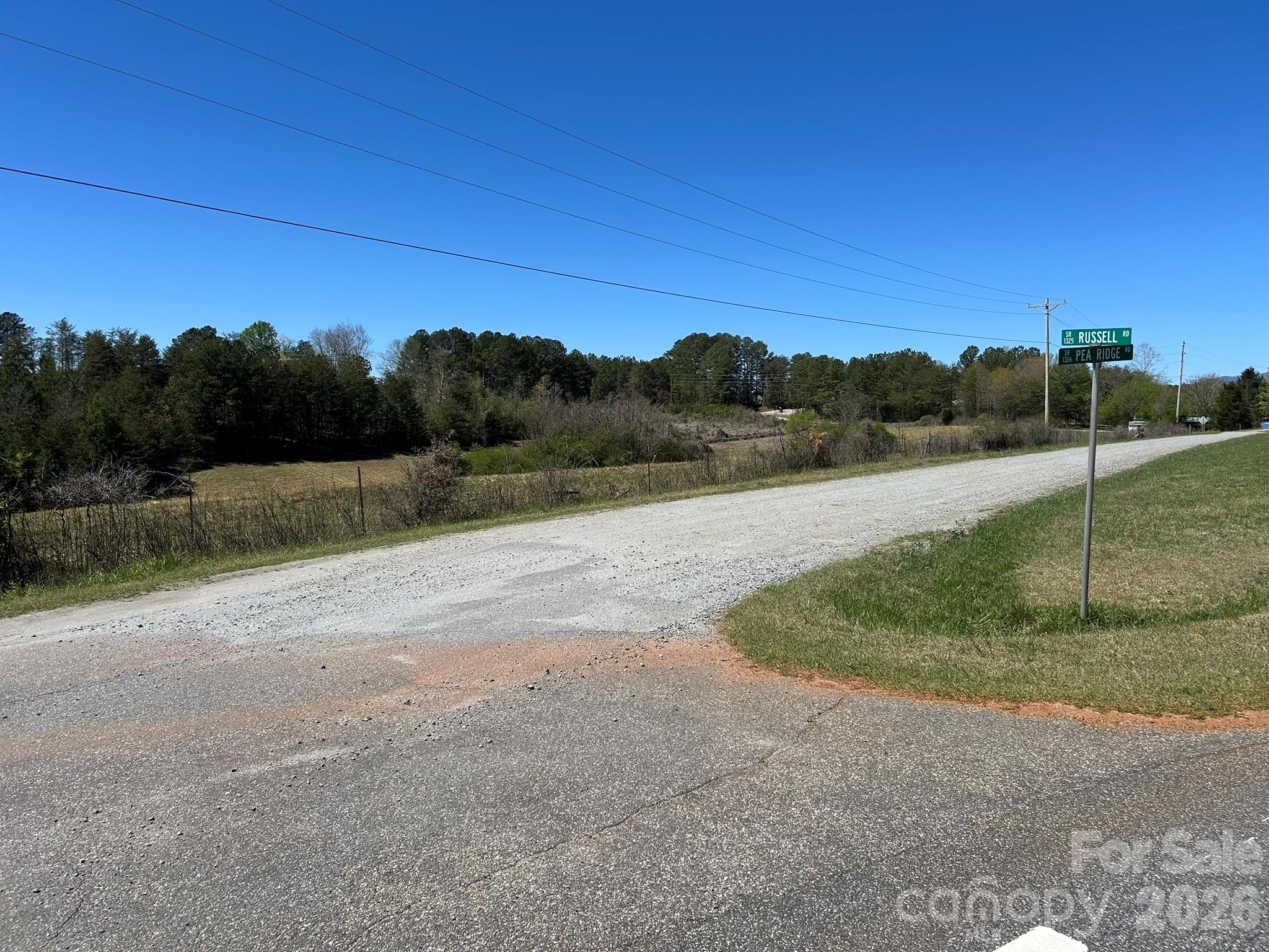 0 Pea Ridge Road Mill Spring NC 28756