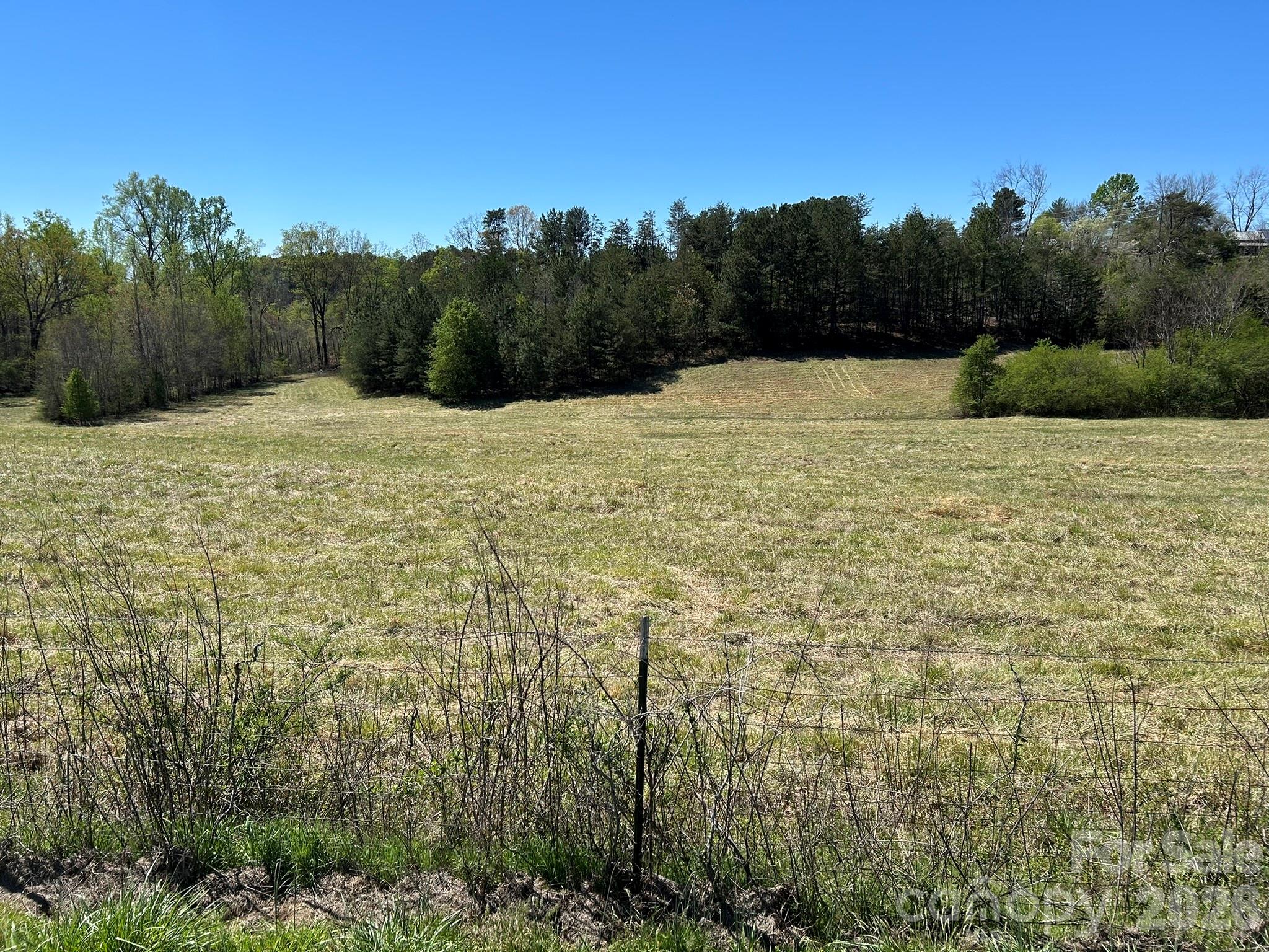 0 Pea Ridge Road Mill Spring NC 28756