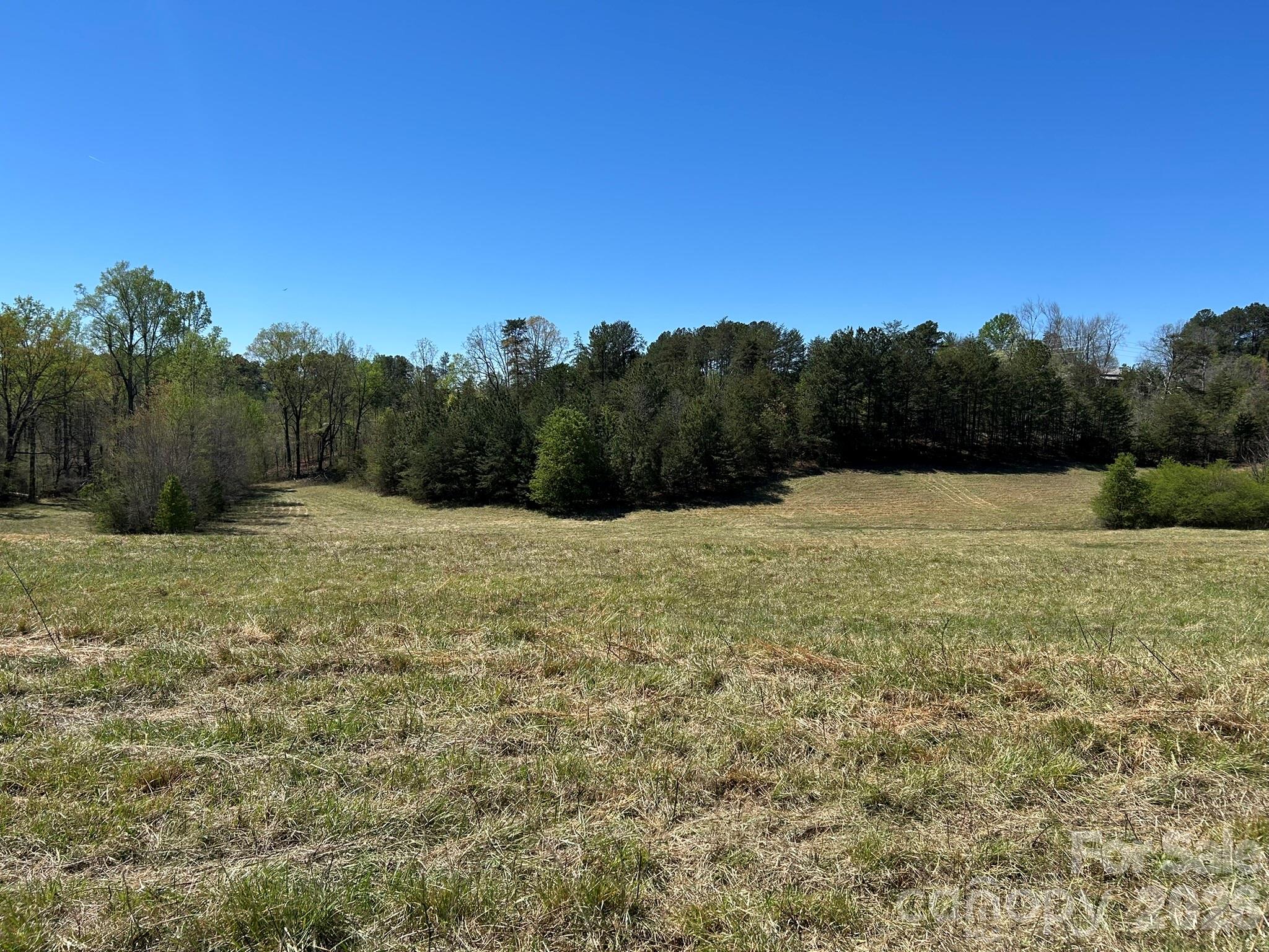 0 Pea Ridge Road Mill Spring NC 28756