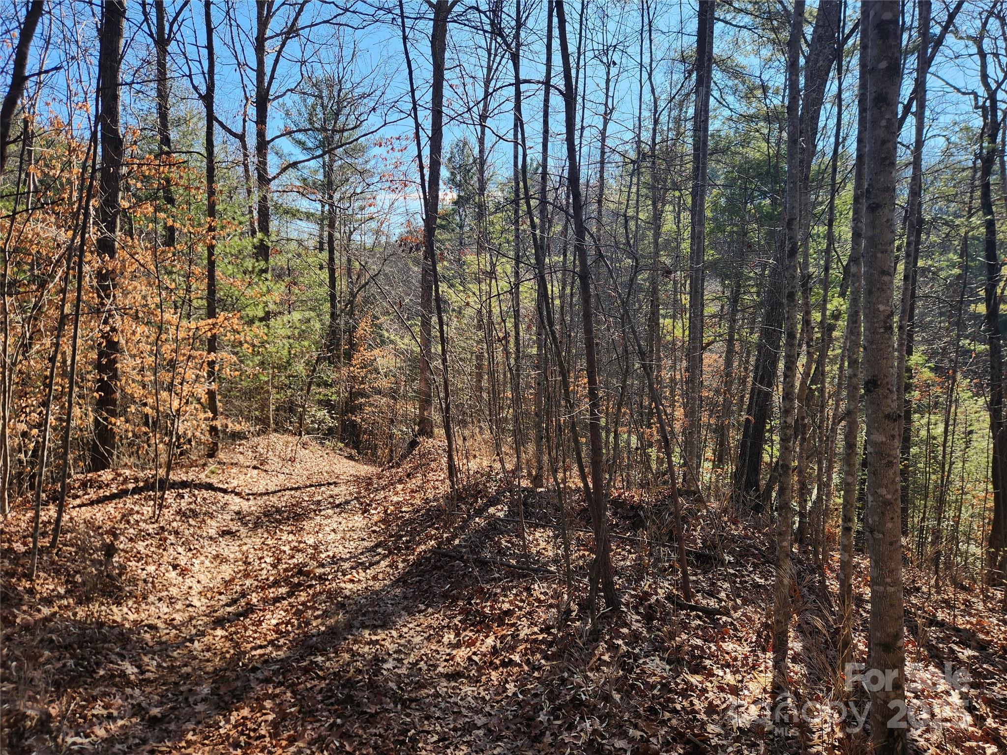 2500 Playmore Beach Road Lenoir NC 28645