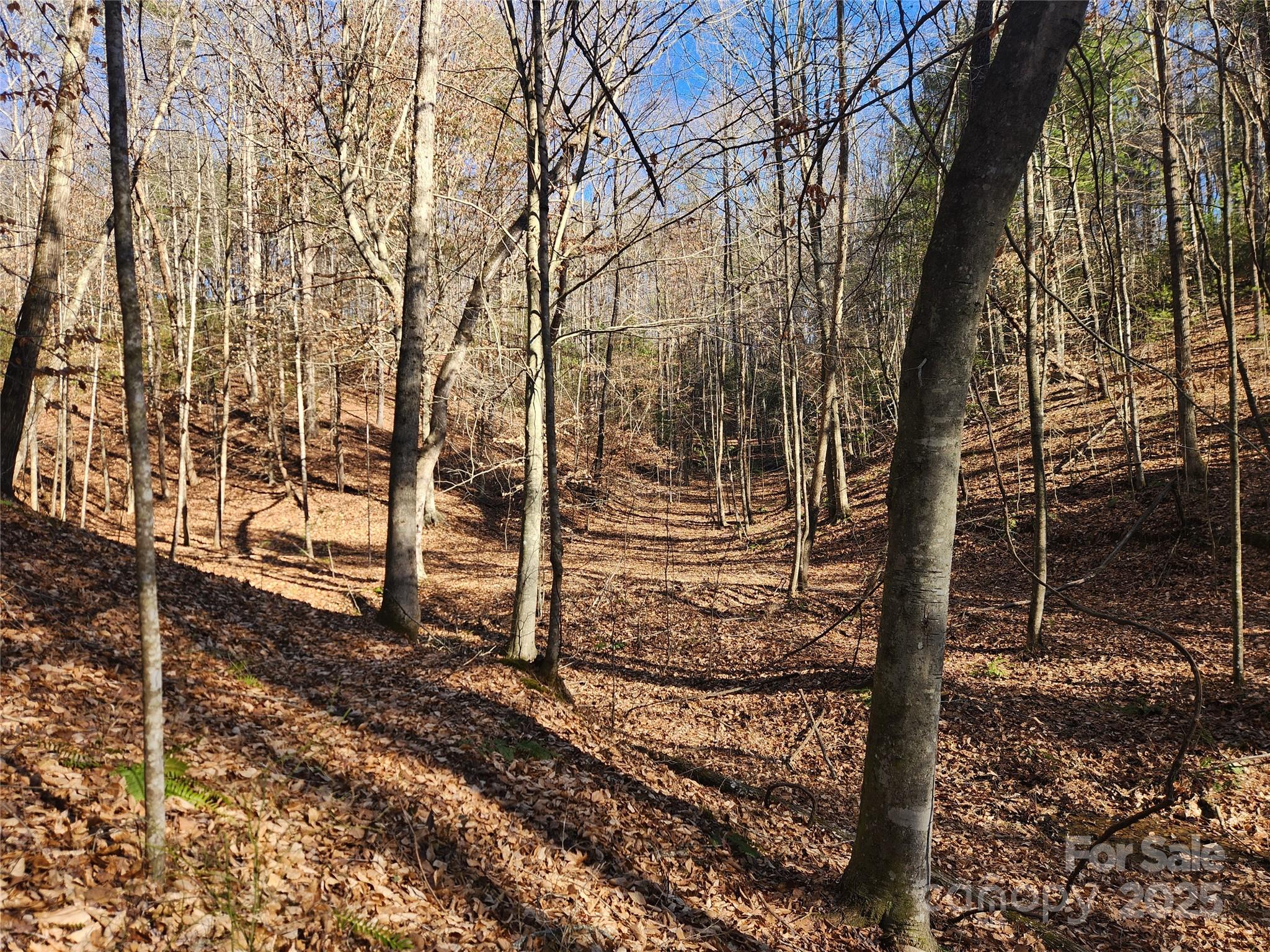 2500 Playmore Beach Road Lenoir NC 28645