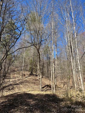 2500 Playmore Beach Road Lenoir NC 28645