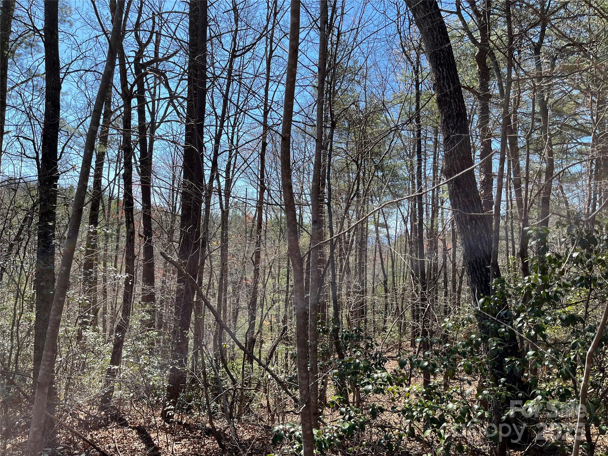 2500 Playmore Beach Road Lenoir NC 28645