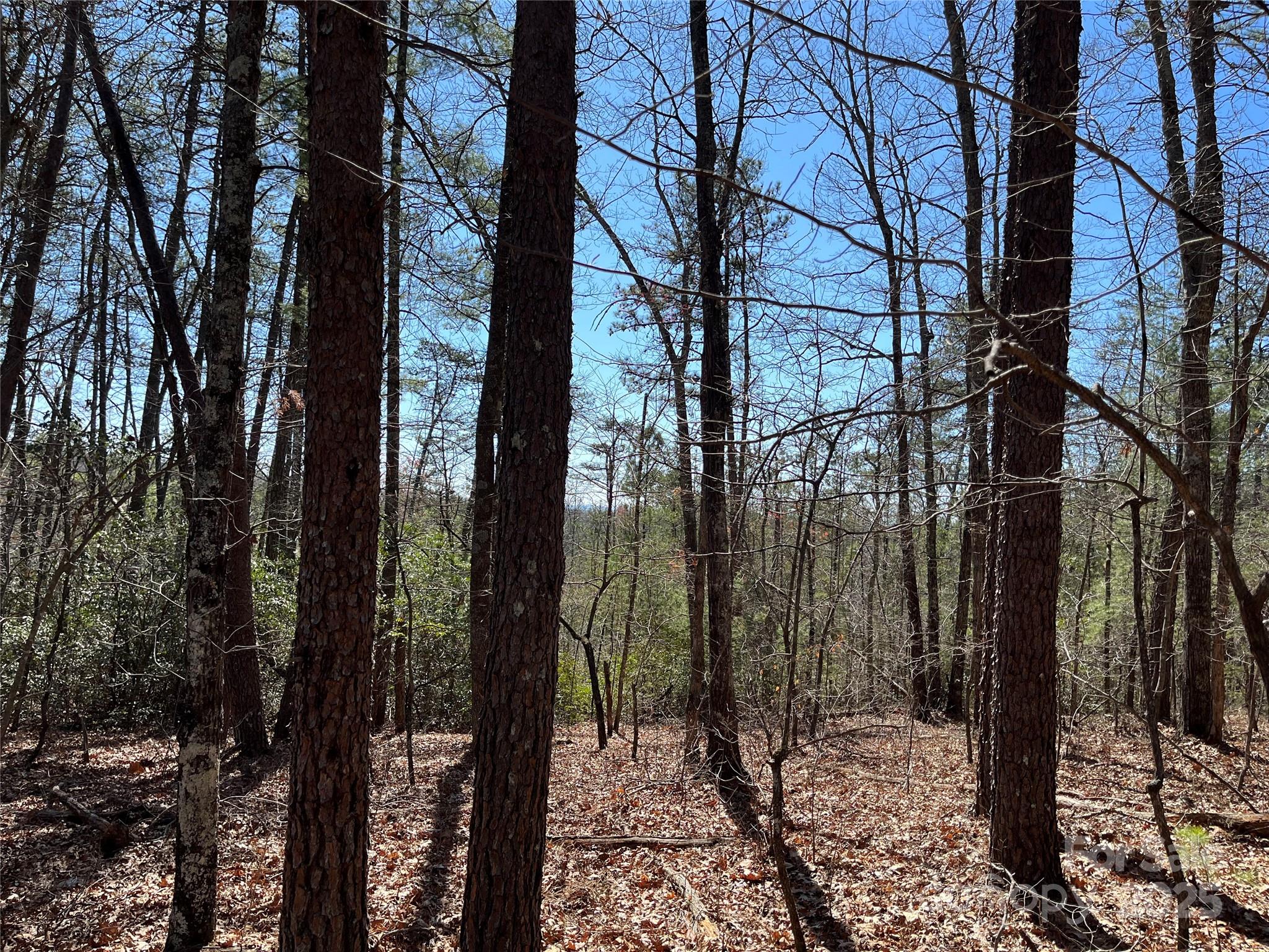 2500 Playmore Beach Road Lenoir NC 28645