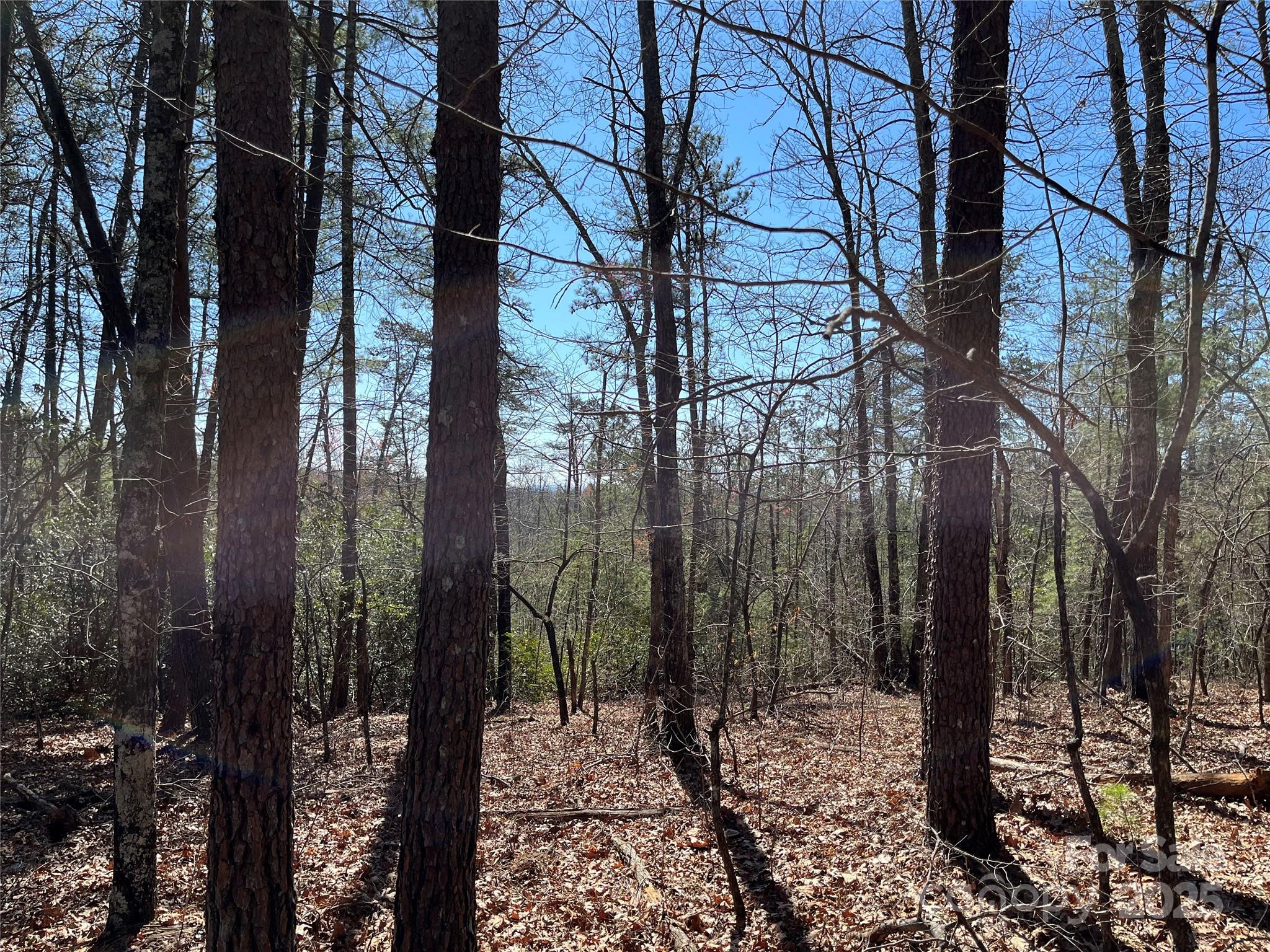 2500 Playmore Beach Road Lenoir NC 28645