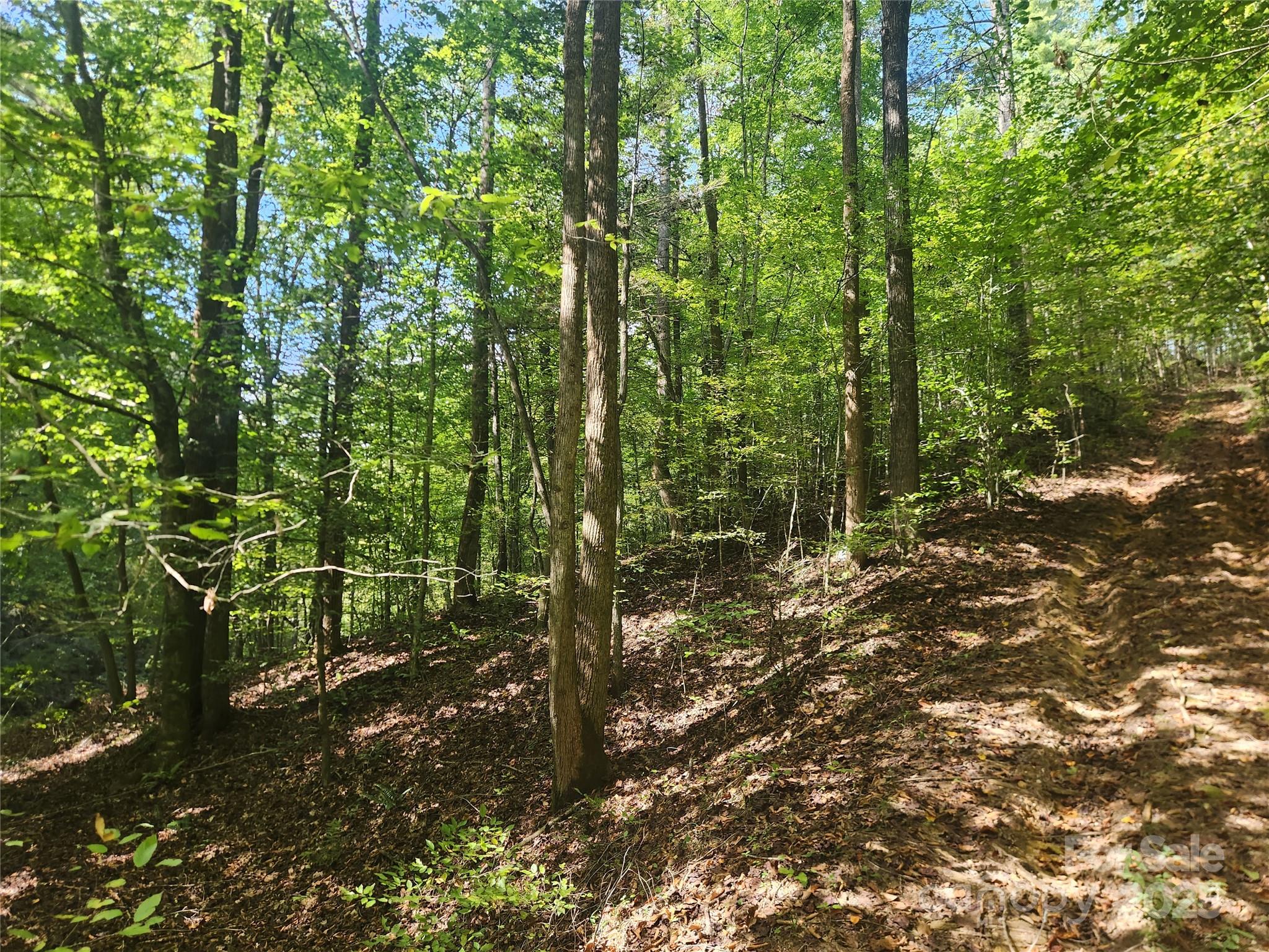 2500 Playmore Beach Road Lenoir NC 28645