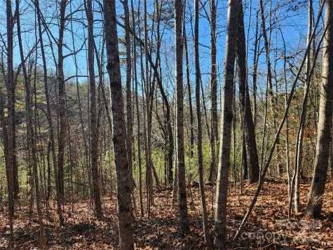 2500 Playmore Beach Road Lenoir NC 28645