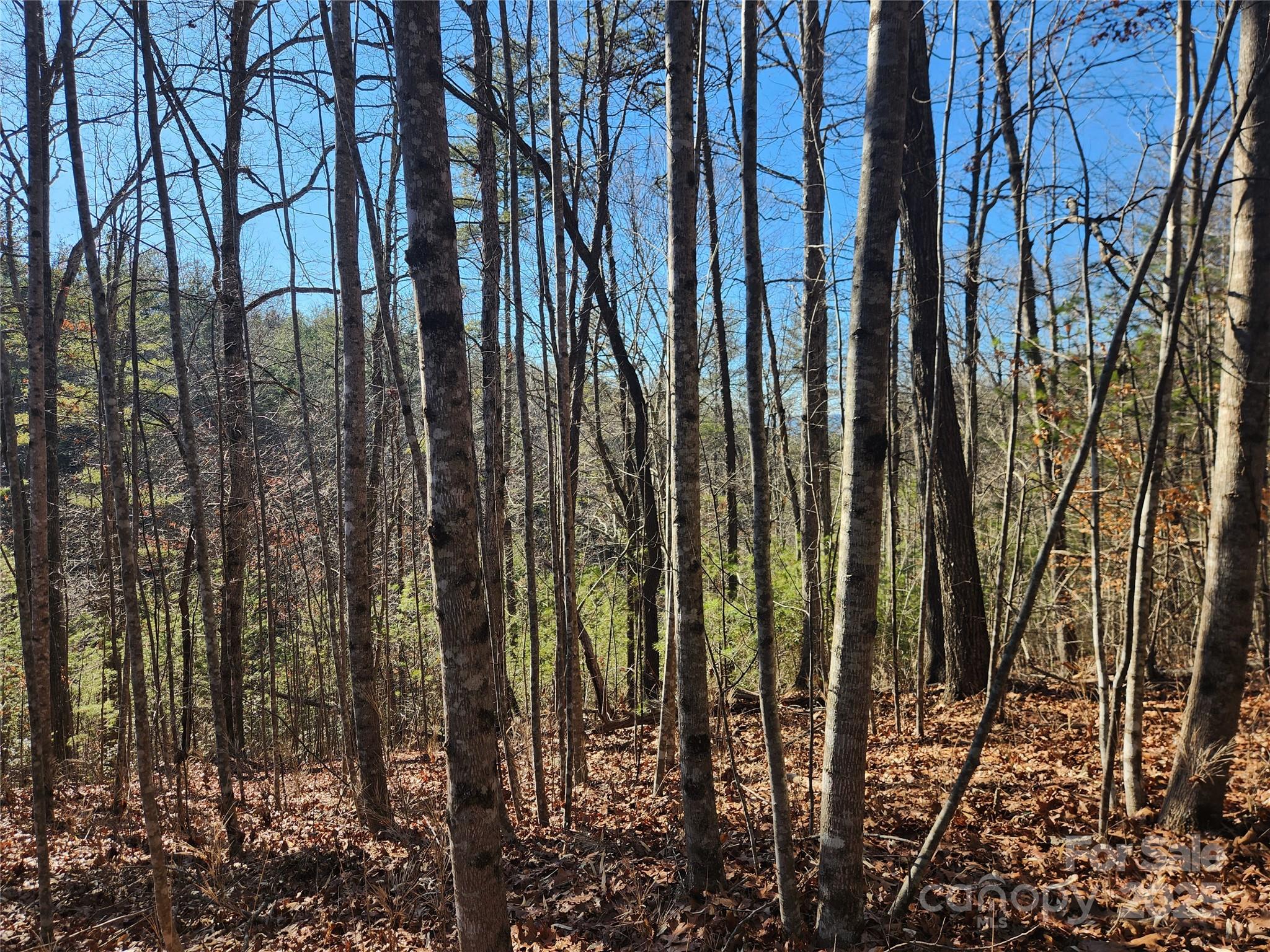 2500 Playmore Beach Road Lenoir NC 28645